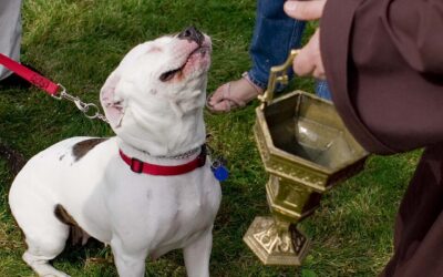 October 11 – Blessing of the Pets